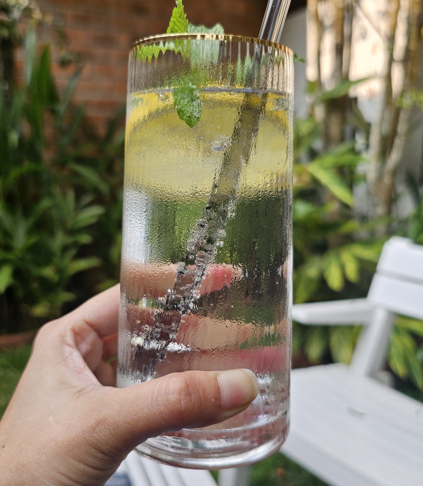 High Ball Clear Glass 530 ml (Set of 6)